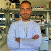 Docente di Biologia, Scienze Mediche e Farmaceutiche